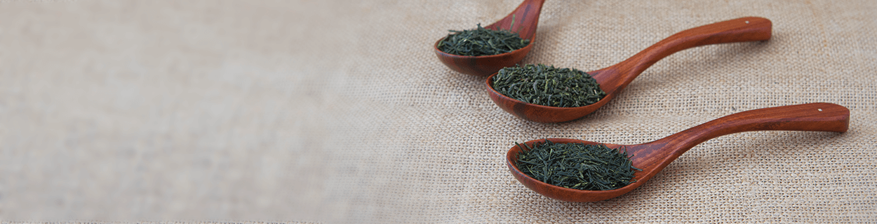 Gyokuro Tee in Bio-Qualität