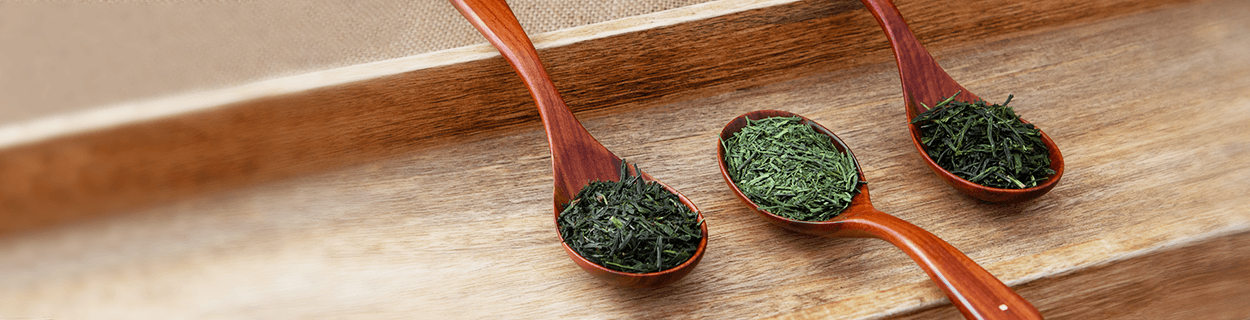 Sencha Tee in Bio-Qualität